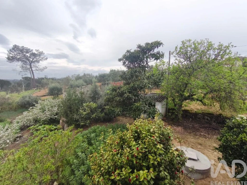 Moradia T3 para Venda em Nelas Foto 26