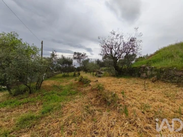 Moradia T3 para Venda em Nelas