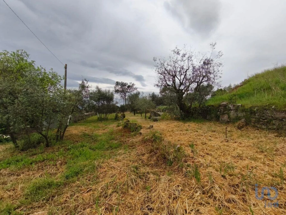 Moradia T3 para Venda em Nelas Foto 7