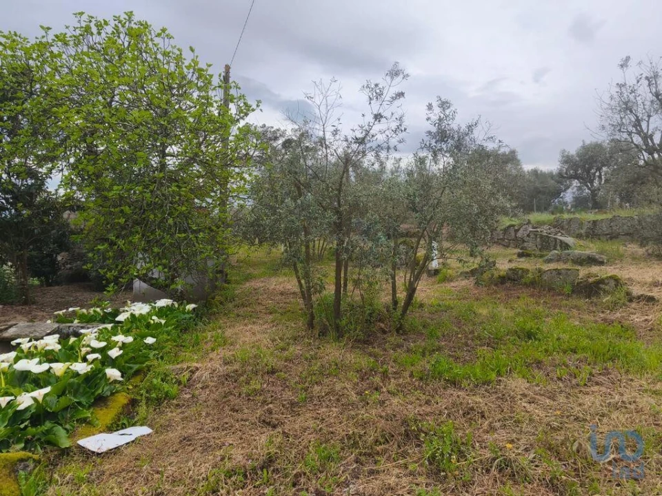 Moradia T3 para Venda em Nelas Foto 8