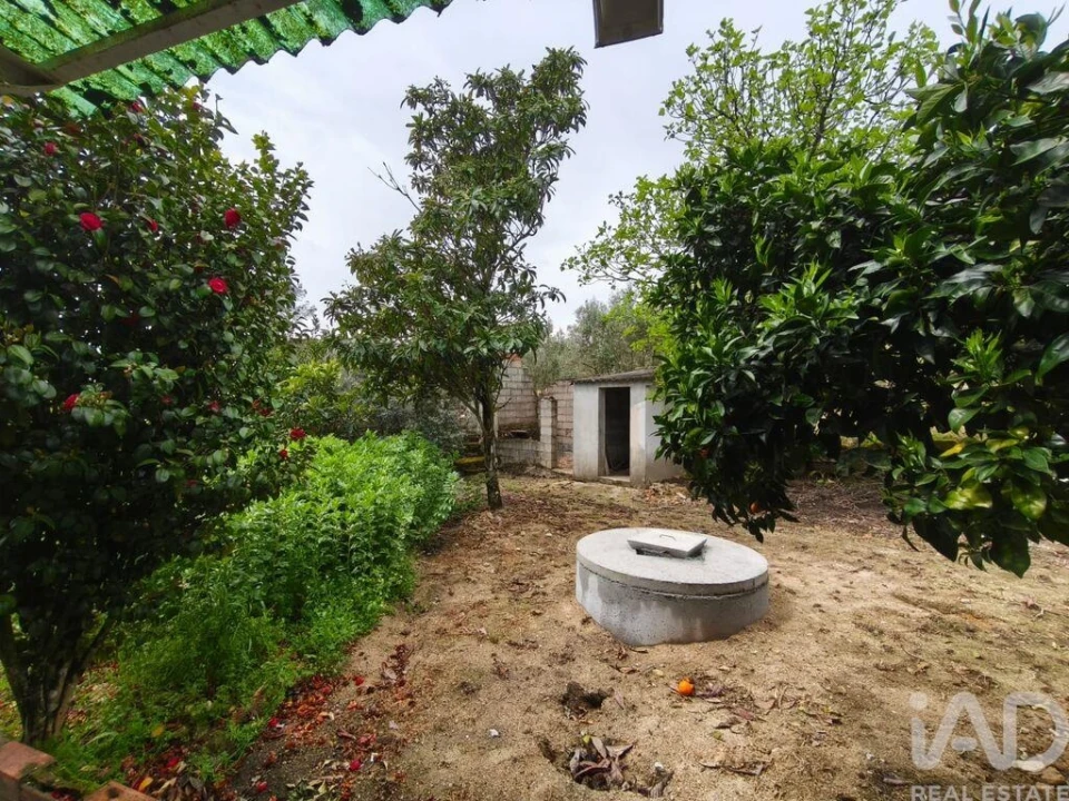 Moradia T3 para Venda em Nelas Foto 25