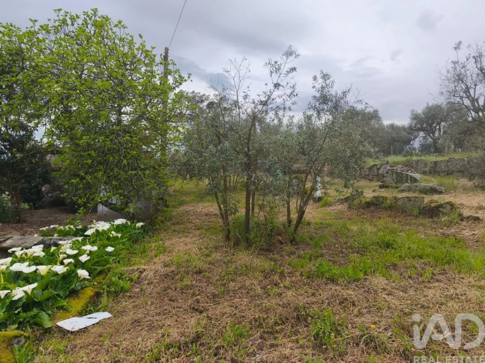 Moradia T3 para Venda em Nelas Foto 23