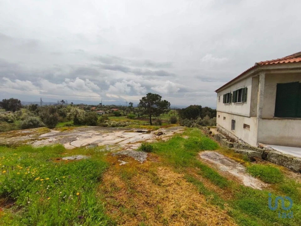 Moradia T3 para Venda em Nelas Foto 3