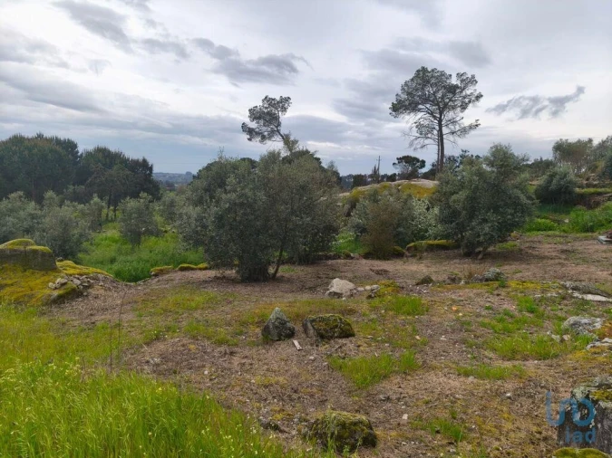 Moradia T3 para Venda em Nelas Foto 5