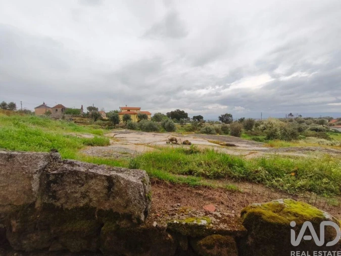 Moradia T3 para Venda em Nelas Foto 22