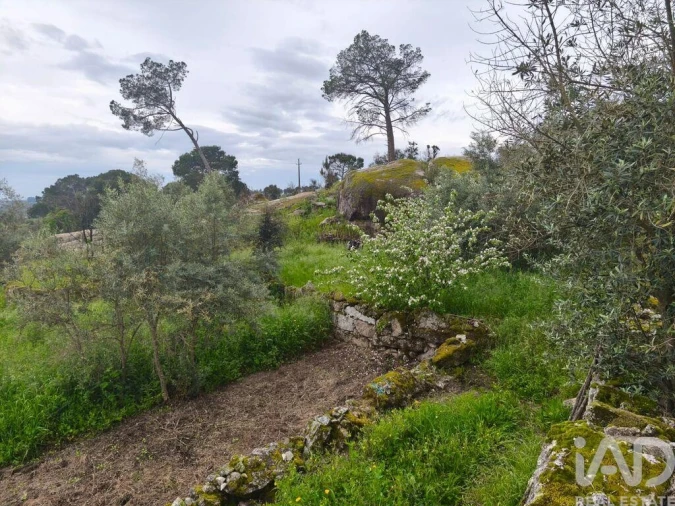 Moradia T3 para Venda em Nelas Foto 24