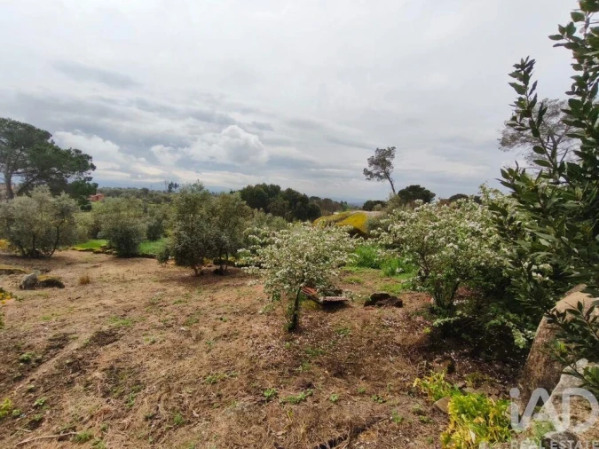 Moradia T3 para Venda em Nelas Foto 17