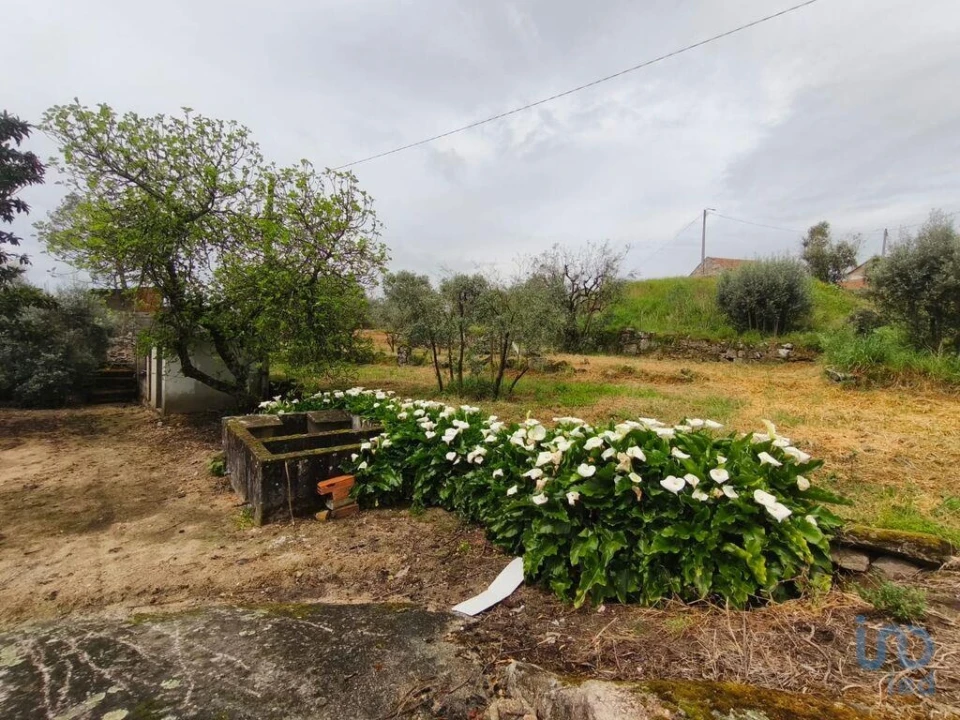 Moradia T3 para Venda em Nelas Foto 4