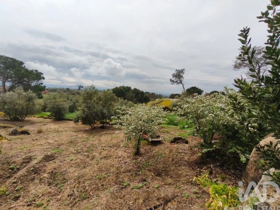 Moradia T3 para Venda em Nelas Foto 17