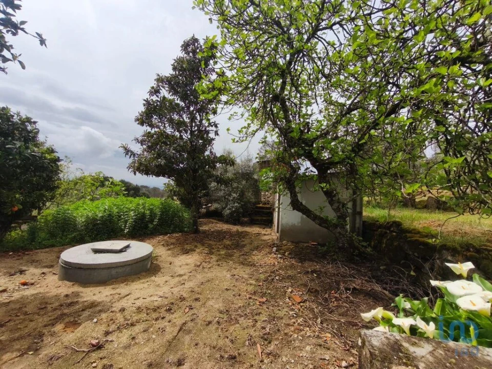 Moradia T3 para Venda em Nelas Foto 6