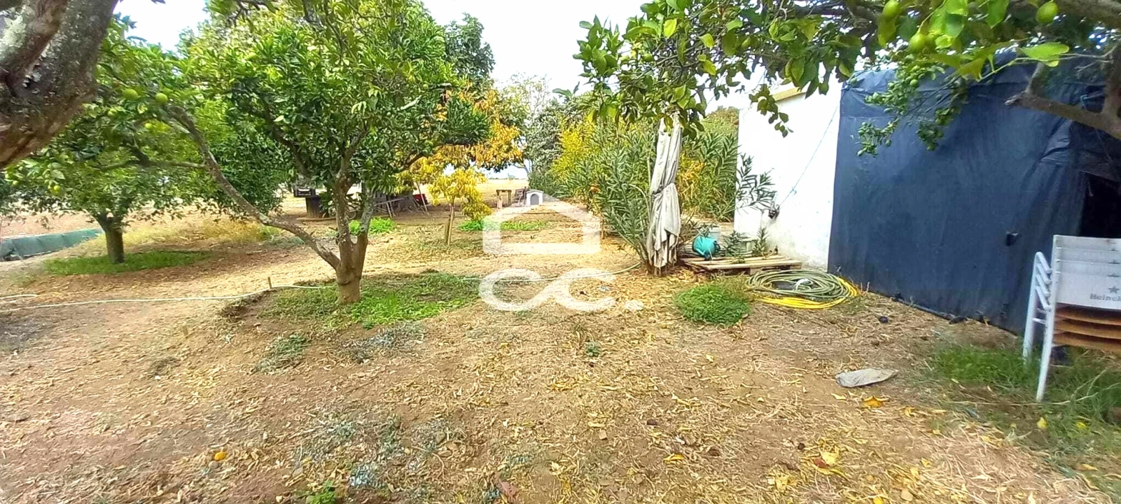 Quinta T2 para Venda em Nossa Senhora das Neves Foto 4