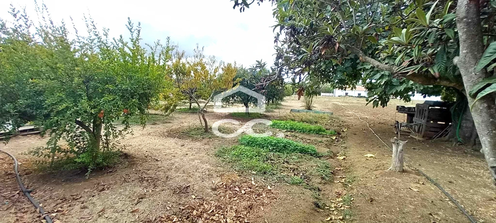 Quinta T2 para Venda em Nossa Senhora das Neves Foto 13