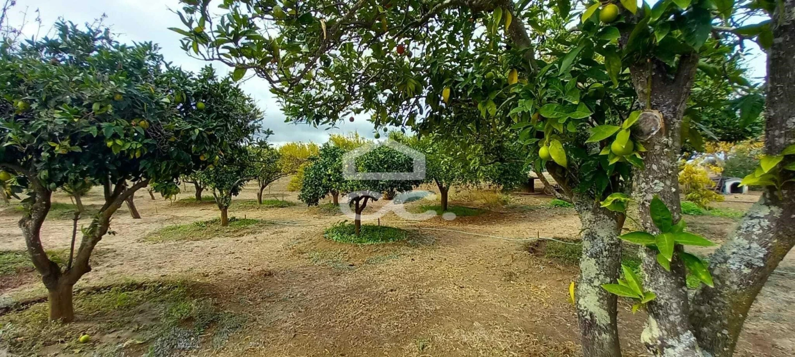 Quinta T2 para Venda em Nossa Senhora das Neves Foto 16