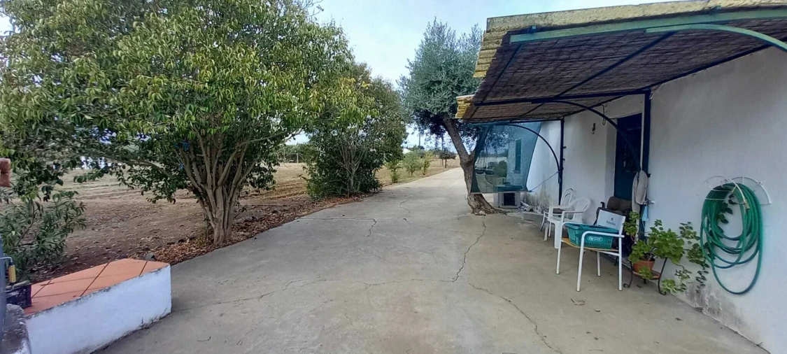 Quinta T2 para Venda em Nossa Senhora das Neves Foto 47