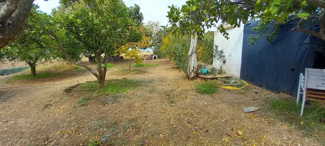 Quinta T2 para Venda em Nossa Senhora das Neves Foto 49