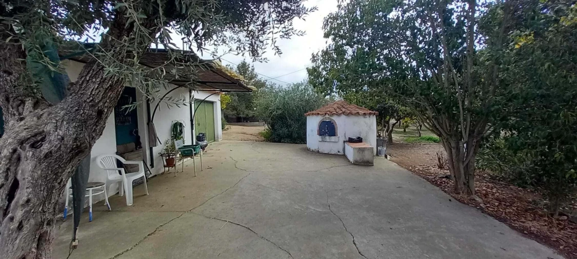 Quinta T2 para Venda em Nossa Senhora das Neves Foto 45