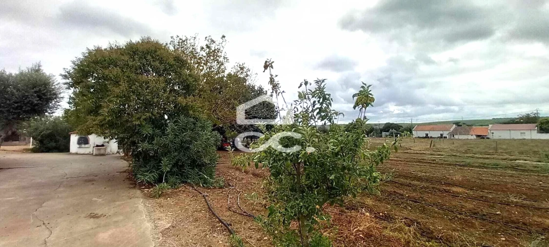 Quinta T2 para Venda em Nossa Senhora das Neves Foto 12