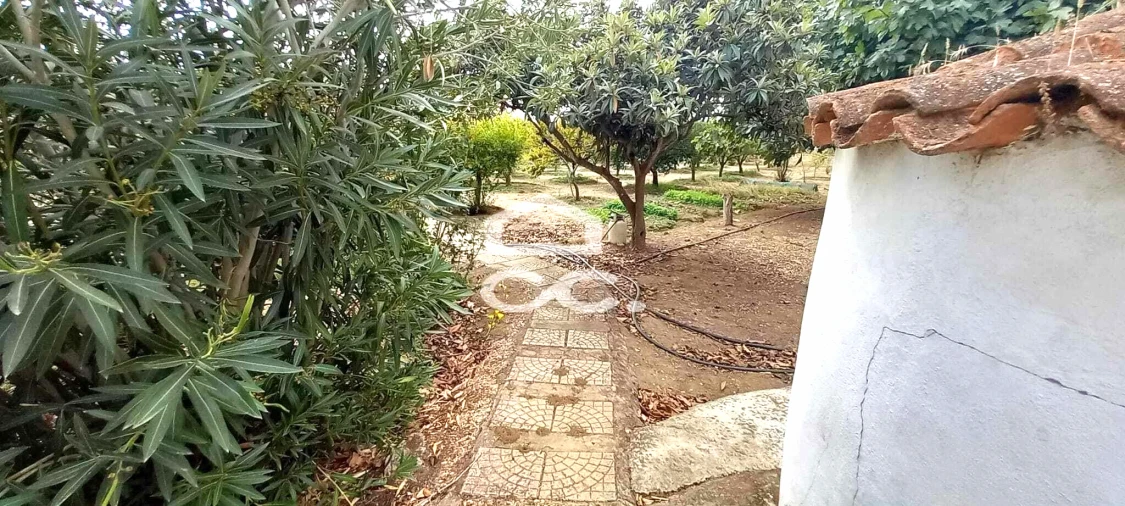 Quinta T2 para Venda em Nossa Senhora das Neves Foto 6