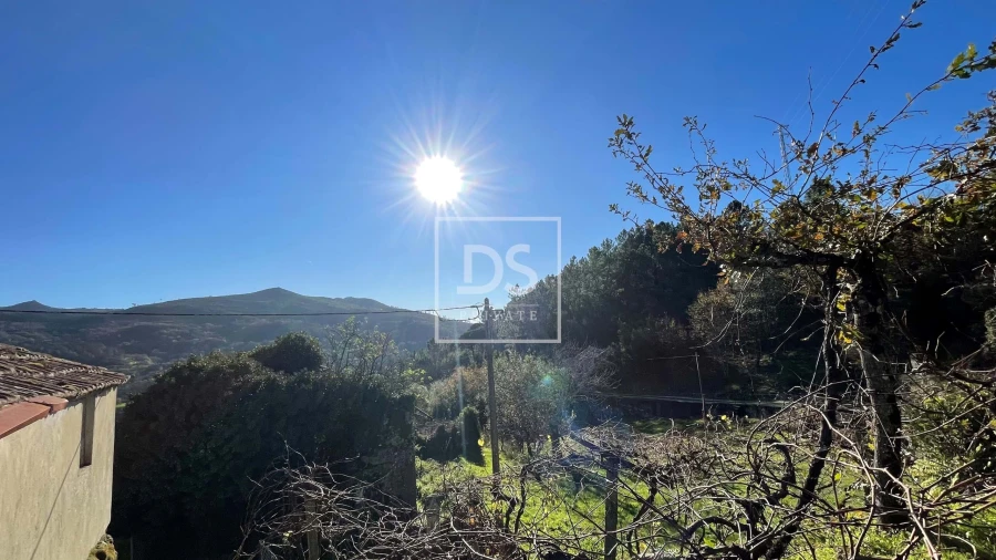 Moradia T2 para Venda em Campelo e Ovil Foto 11