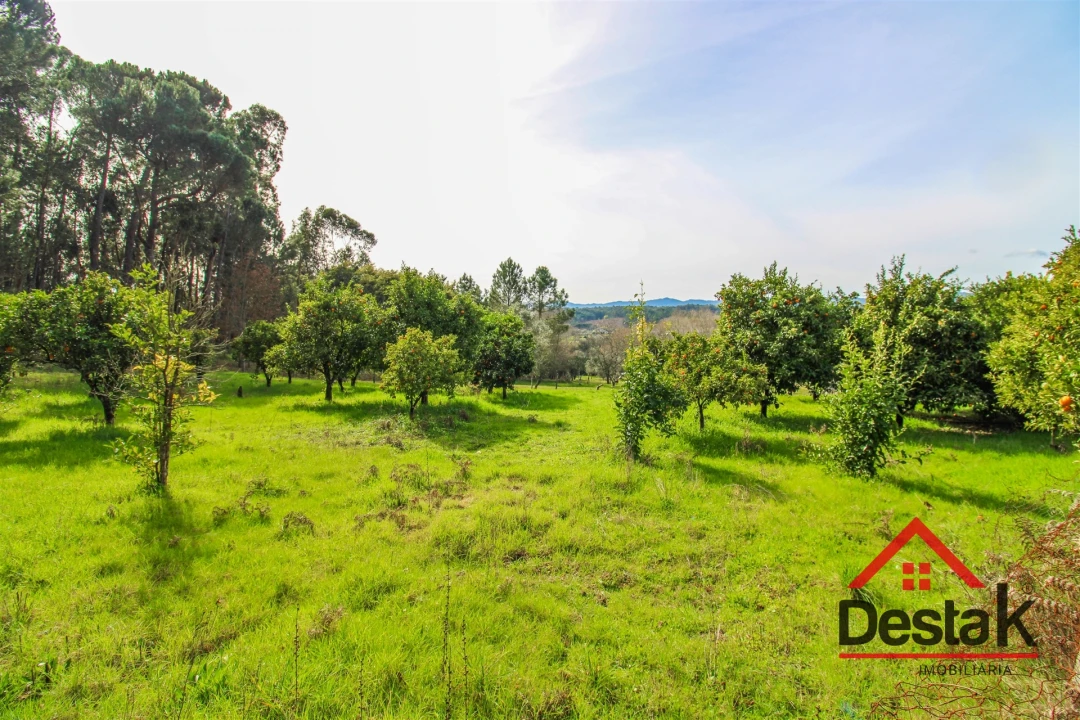 Quinta T0 para Venda em São Miguel do Outeiro e Sabugosa Foto 10