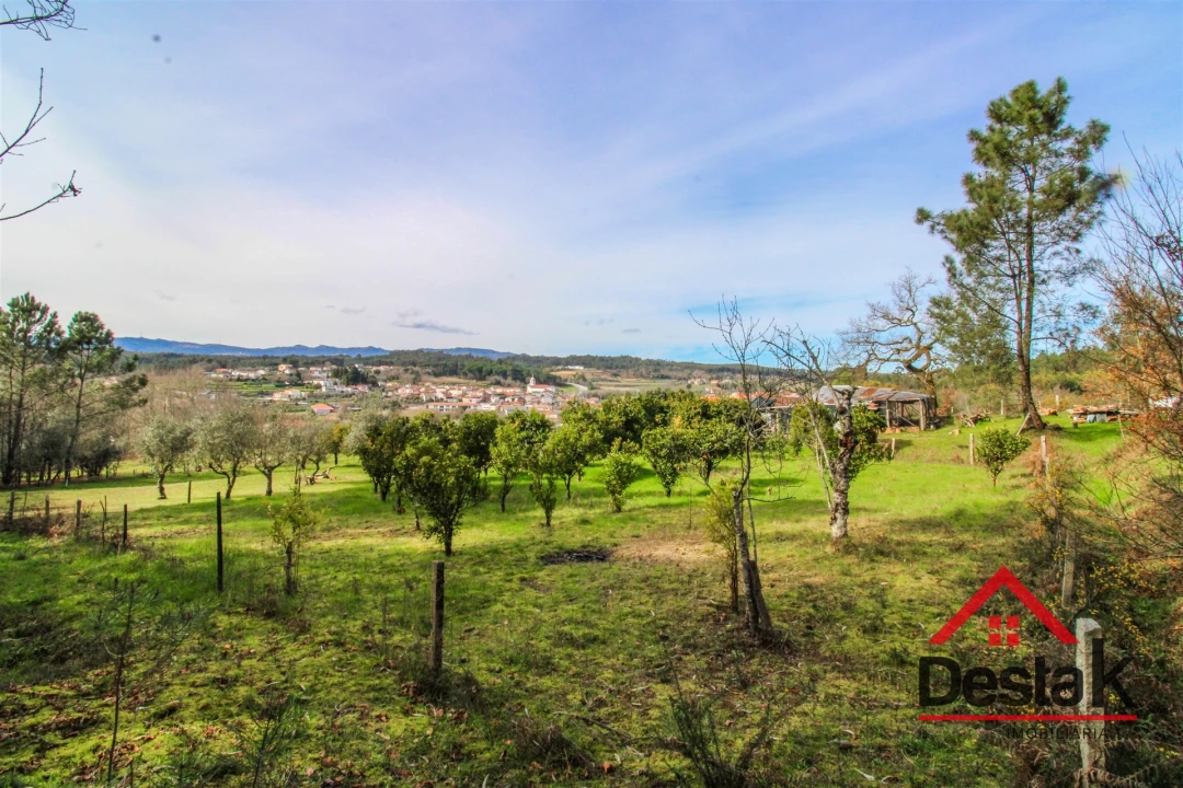 Quinta T0 para Venda em São Miguel do Outeiro e Sabugosa Foto 14