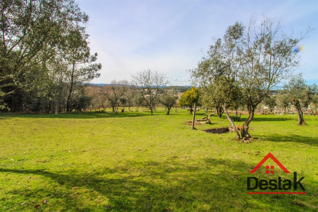 Quinta T0 para Venda em São Miguel do Outeiro e Sabugosa Foto 11