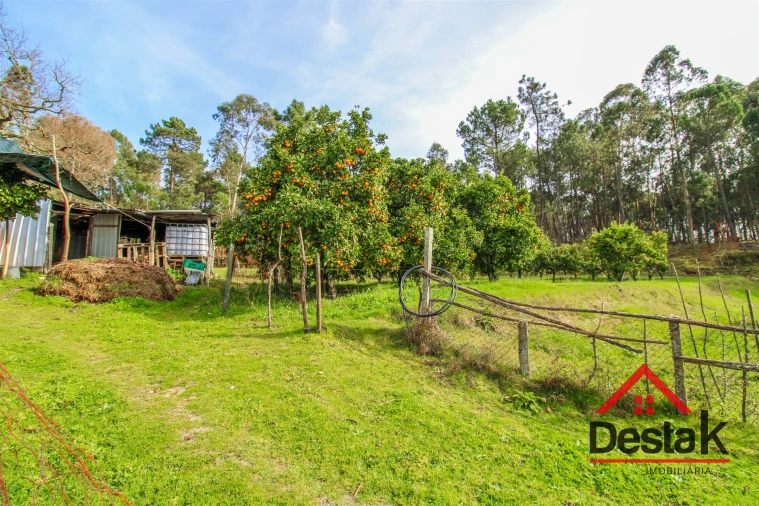 Quinta T0 para Venda em São Miguel do Outeiro e Sabugosa Foto 8