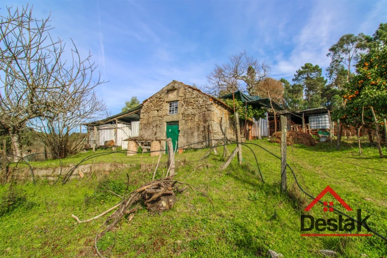 Quinta T0 para Venda em São Miguel do Outeiro e Sabugosa Foto 6