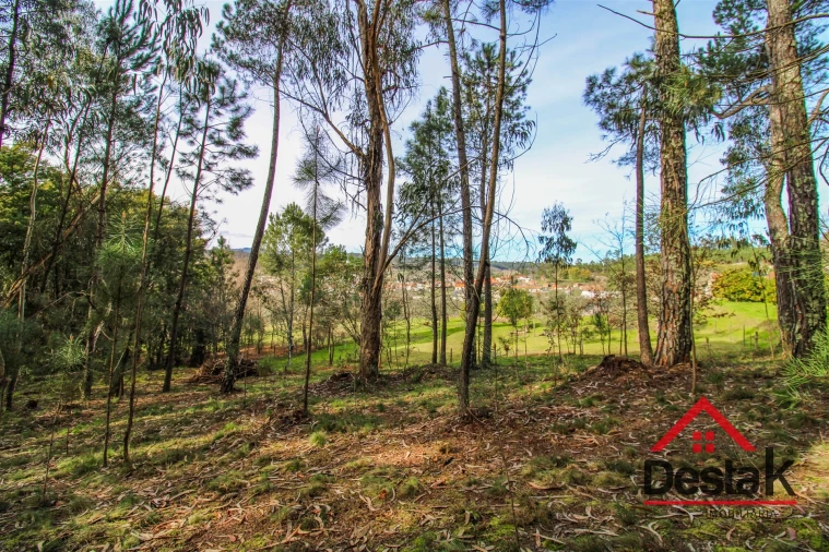 Quinta T0 para Venda em São Miguel do Outeiro e Sabugosa Foto 15