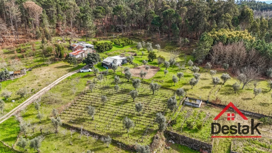 Quinta T0 para Venda em São Miguel do Outeiro e Sabugosa Foto 17