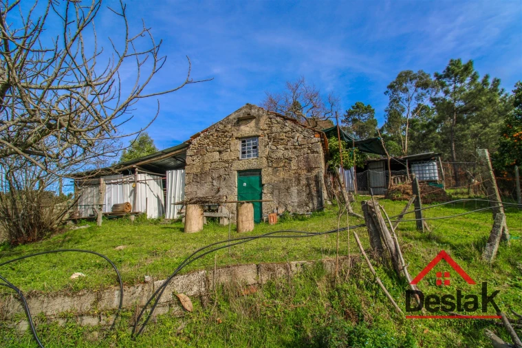 Quinta T0 para Venda em São Miguel do Outeiro e Sabugosa Foto 5