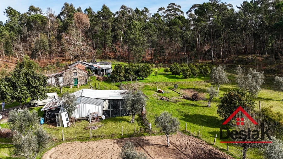 Quinta T0 para Venda em São Miguel do Outeiro e Sabugosa Foto 26