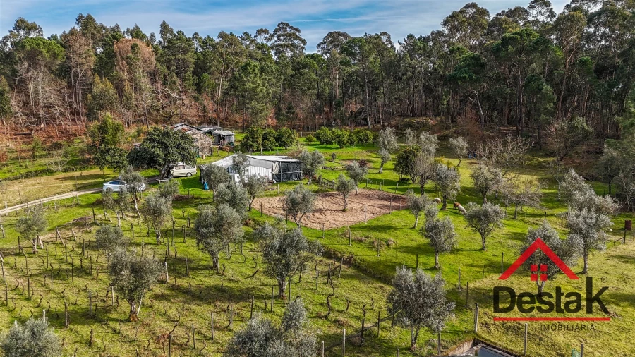 Quinta T0 para Venda em São Miguel do Outeiro e Sabugosa Foto 23