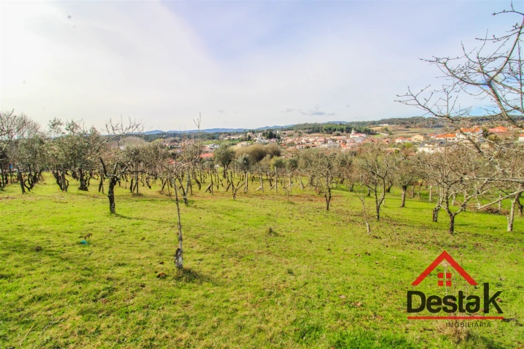 Quinta T0 para Venda em São Miguel do Outeiro e Sabugosa Foto 13