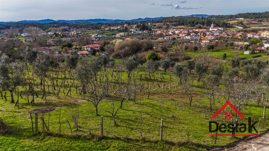 Quinta T0 para Venda em São Miguel do Outeiro e Sabugosa Foto 30