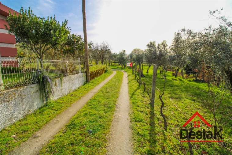 Quinta T0 para Venda em São Miguel do Outeiro e Sabugosa Foto 2