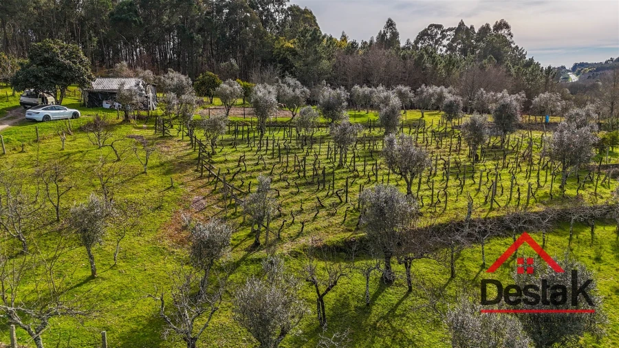Quinta T0 para Venda em São Miguel do Outeiro e Sabugosa Foto 22