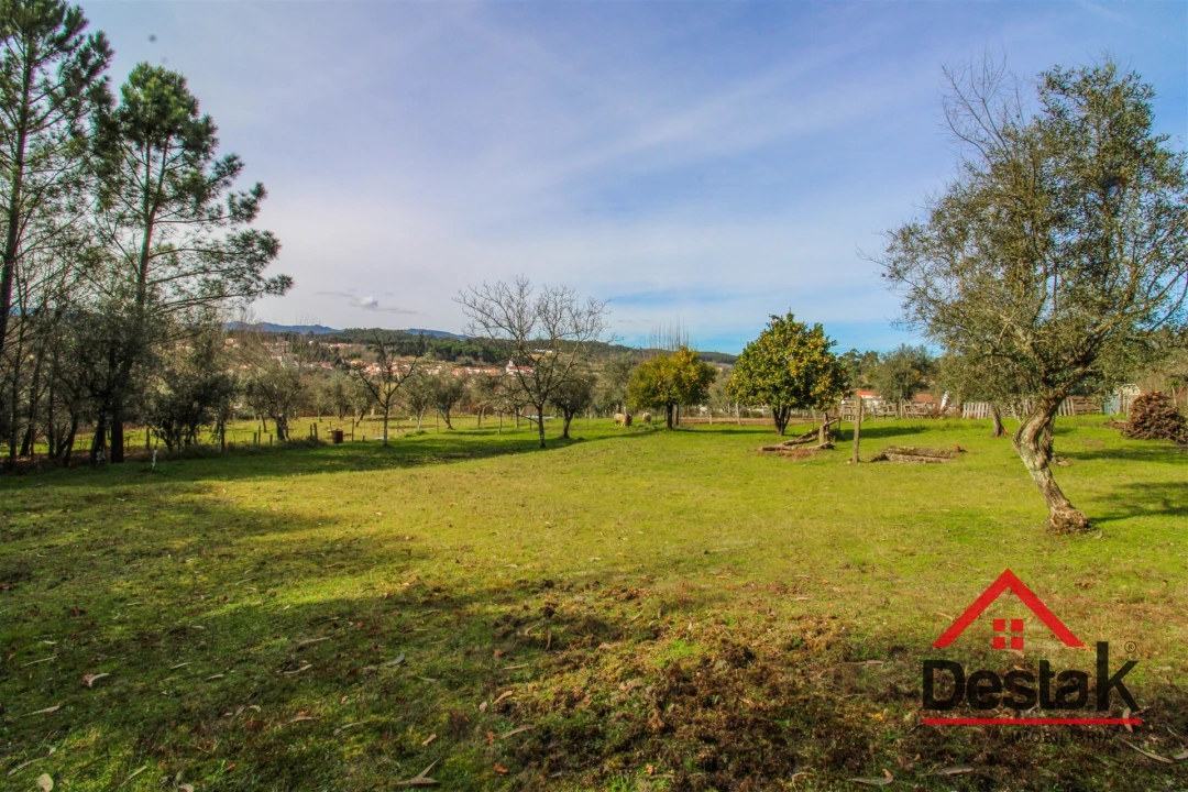 Quinta T0 para Venda em São Miguel do Outeiro e Sabugosa Foto 12