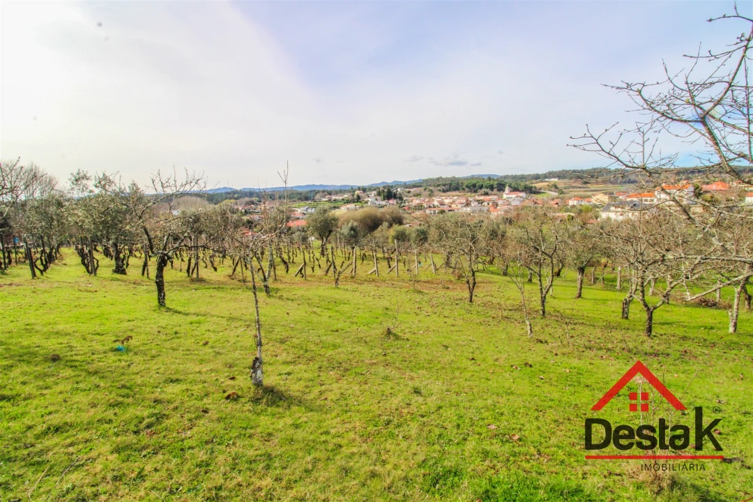 Quinta T0 para Venda em São Miguel do Outeiro e Sabugosa Foto 13