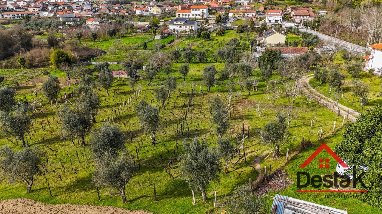 Quinta T0 para Venda em São Miguel do Outeiro e Sabugosa Foto 29