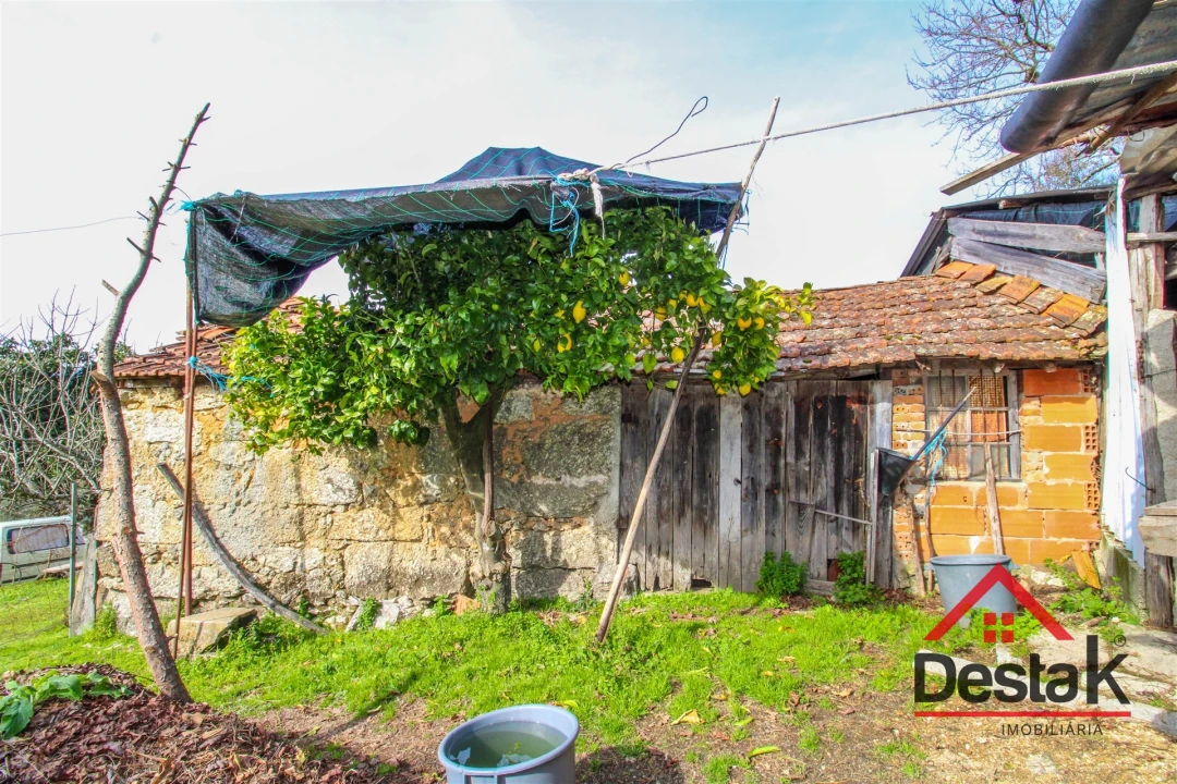 Quinta T0 para Venda em São Miguel do Outeiro e Sabugosa Foto 7