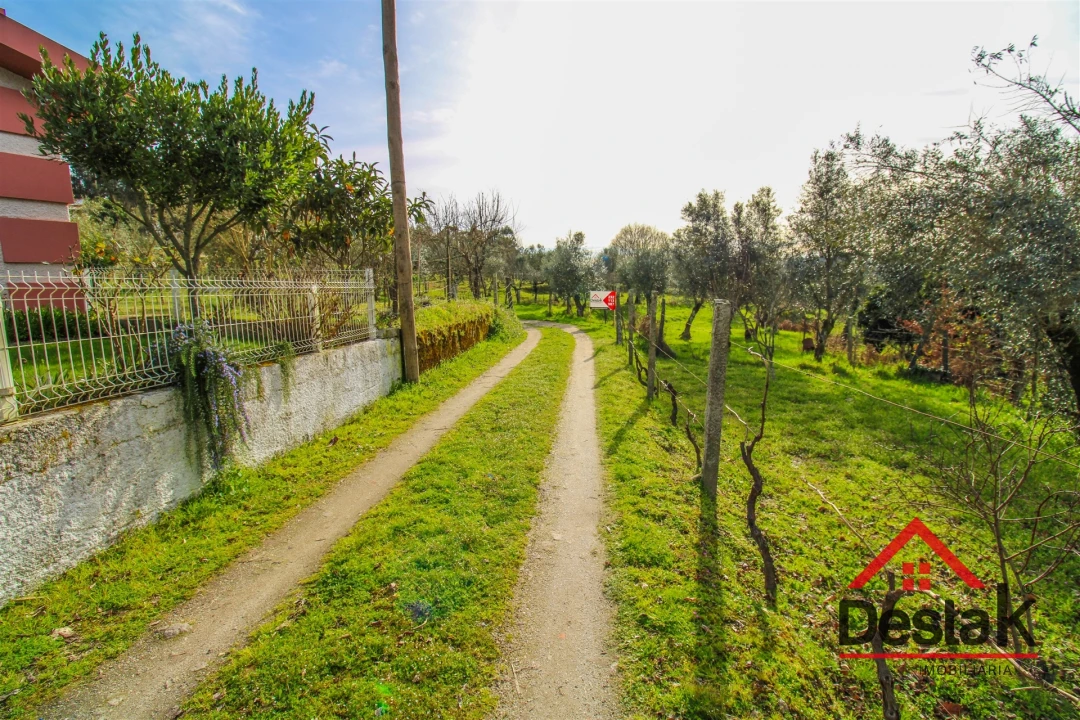 Quinta T0 para Venda em São Miguel do Outeiro e Sabugosa Foto 2