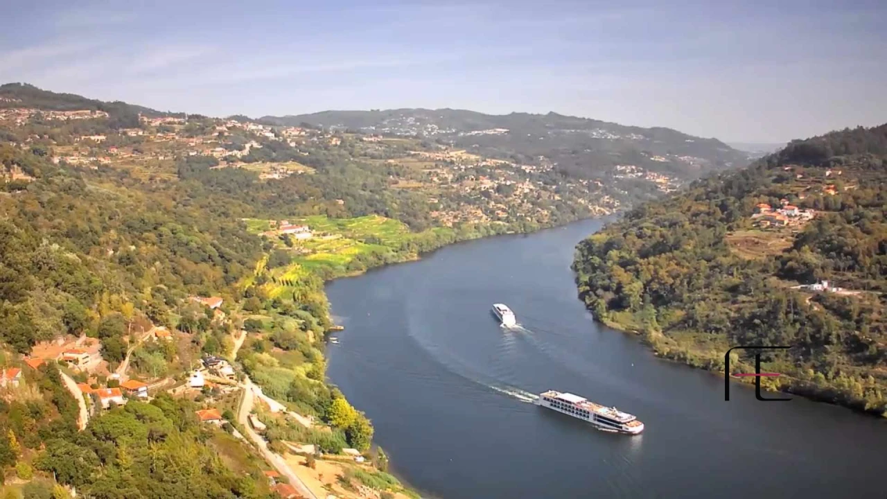 Terreno para Venda em Sobretamega Foto 1