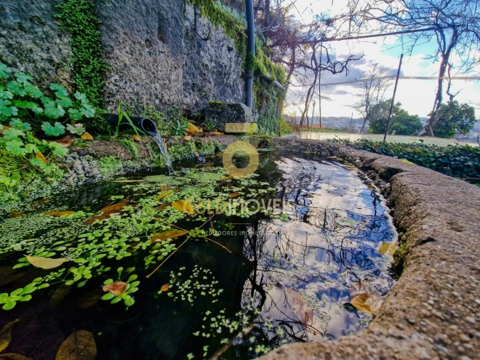 Quinta T6 para Venda em Tabuado Foto 19