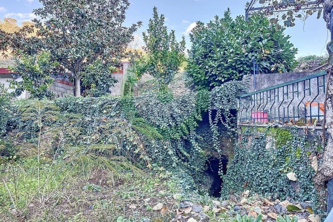 Quinta T0 para Venda em Vinhais Foto 5