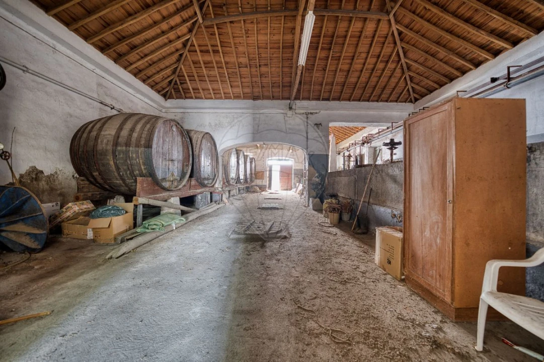 Armazém para Venda em Alpiarça Foto 3