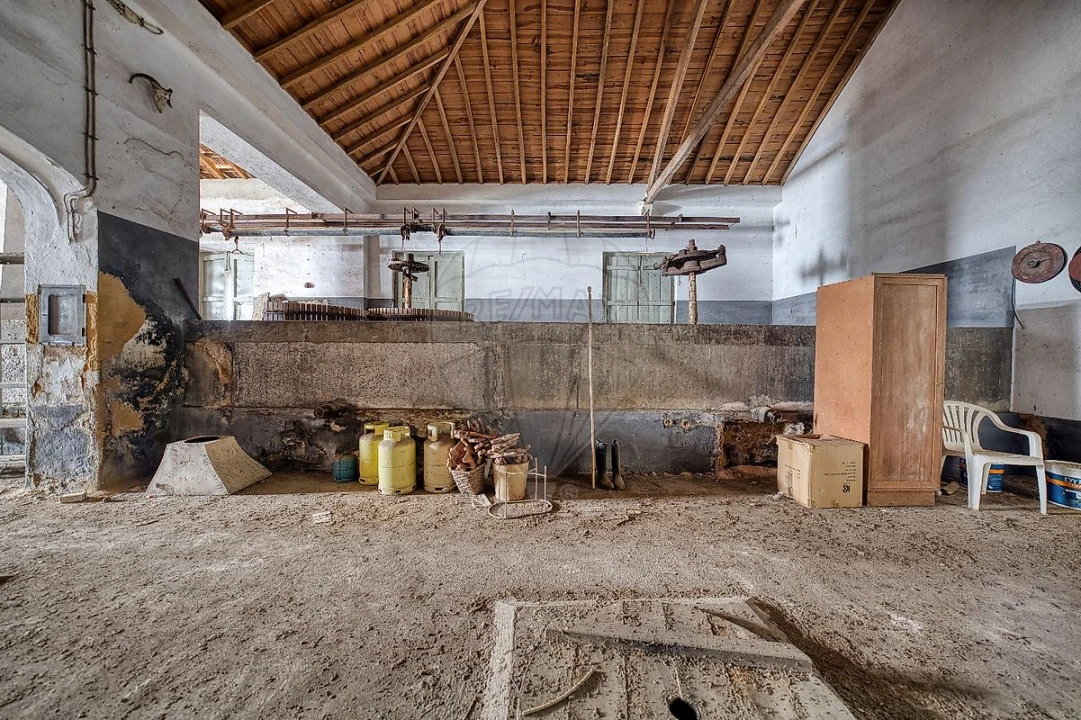 Armazém para Venda em Alpiarça Foto 4