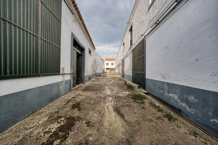 Armazém para Venda em Alpiarça Foto 7