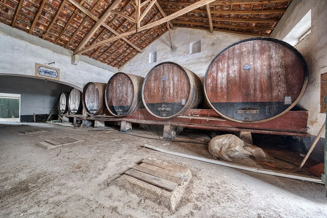 Armazém para Venda em Alpiarça Foto 5