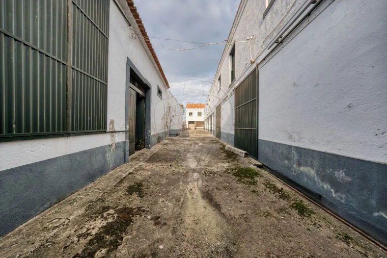 Moradia T8 para Venda em Alpiarça Foto 39
